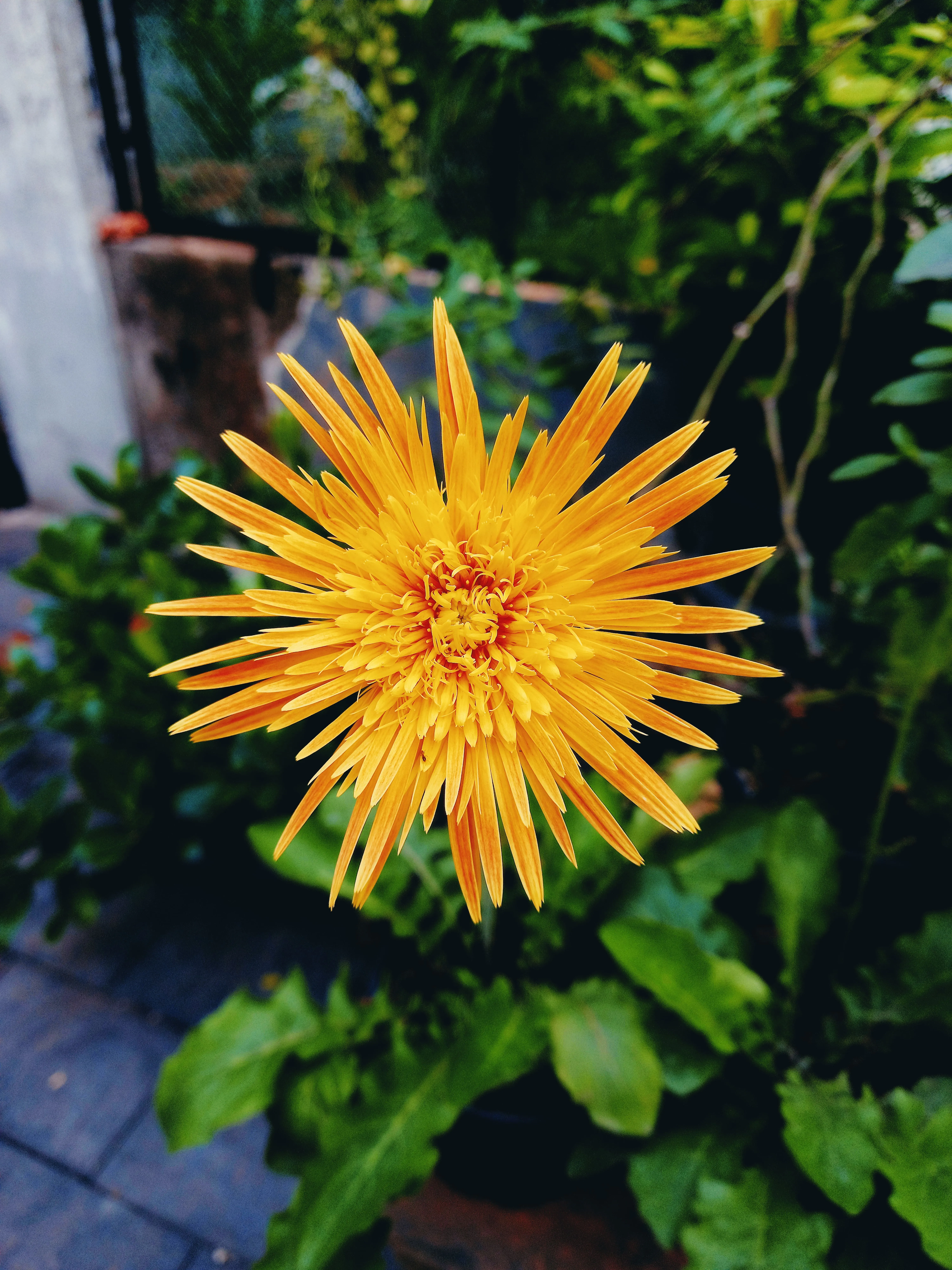 Kozhikode, Kerala