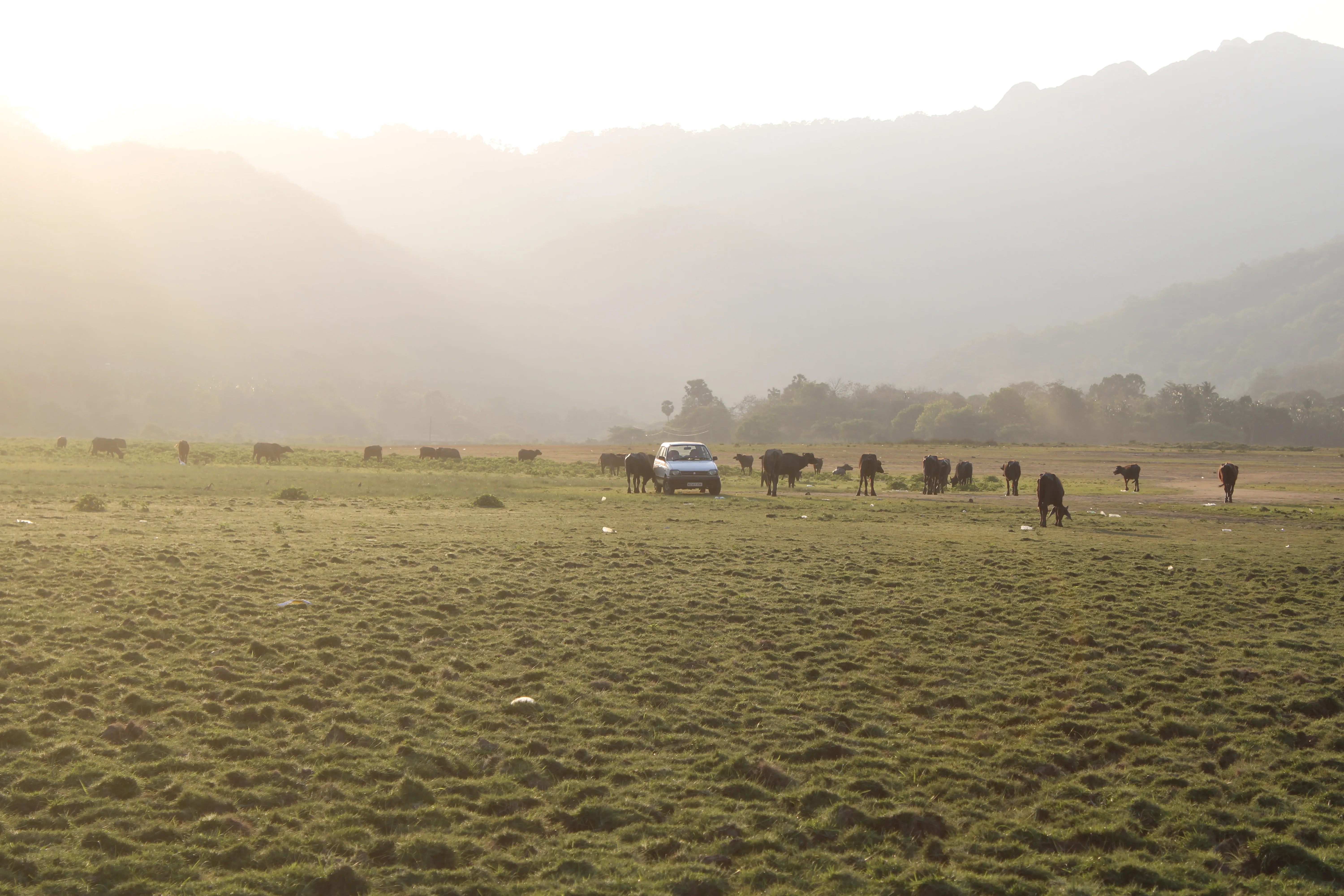 Southern Malampuzha - Palakkad, Kerala